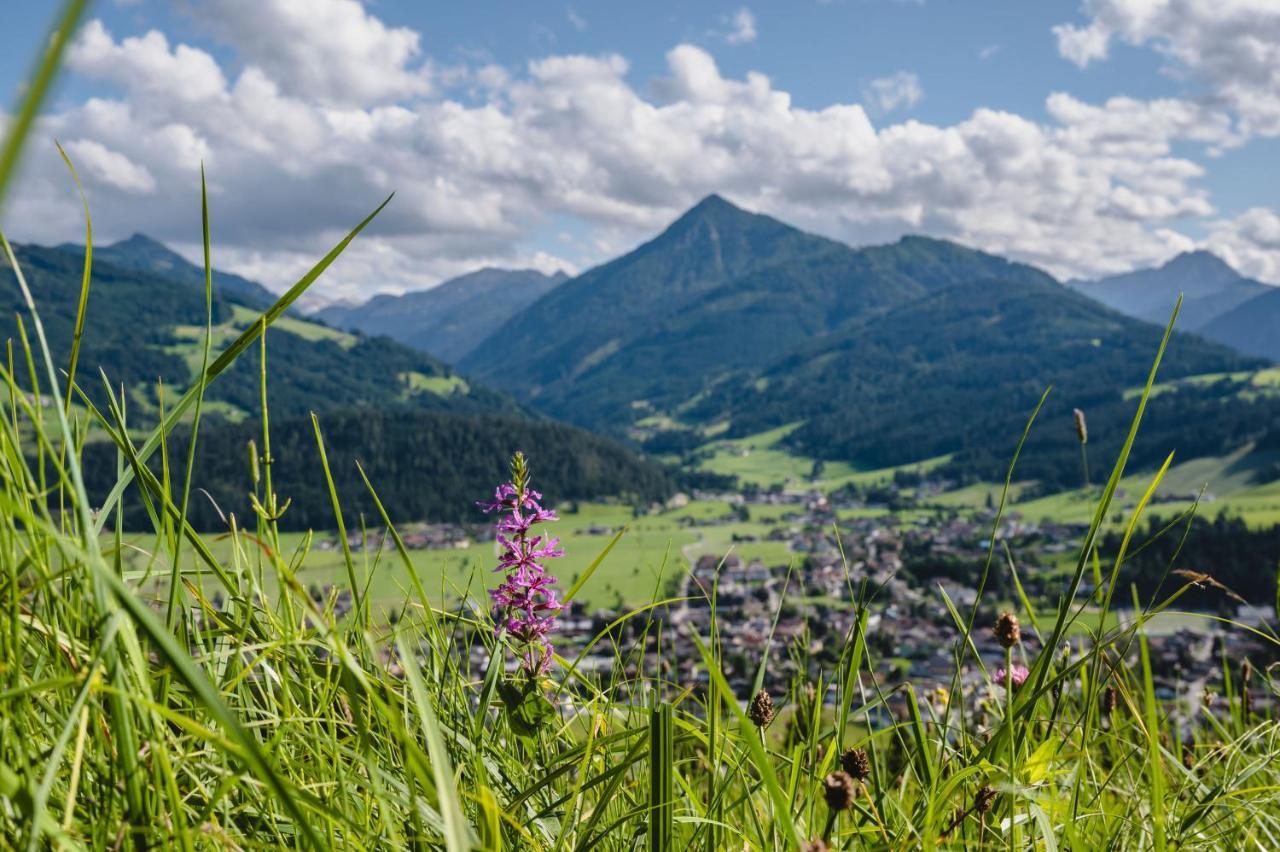 Appartement Eckwald Altenmarkt-Zauchensee 阿尔滕马克特蓬高 外观 照片